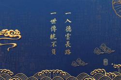 开云体育APP下载-孤峰之上，一夫当关的传奇，范戴克铸就奥地利防线的绝对壁垒