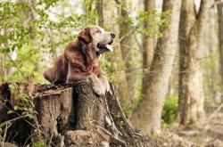 开云体育官网-黑马踏碎跃马！诺里斯率领红牛二队上演世纪逆袭，法拉利主场蒙羞