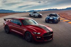 开云sport-边界的消融，当绿茵场纪录碰撞冰上智慧