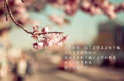 开云体育-曼城棋盘上的血脉搏动，当丹麦在2026世界杯焦点战血拼自己