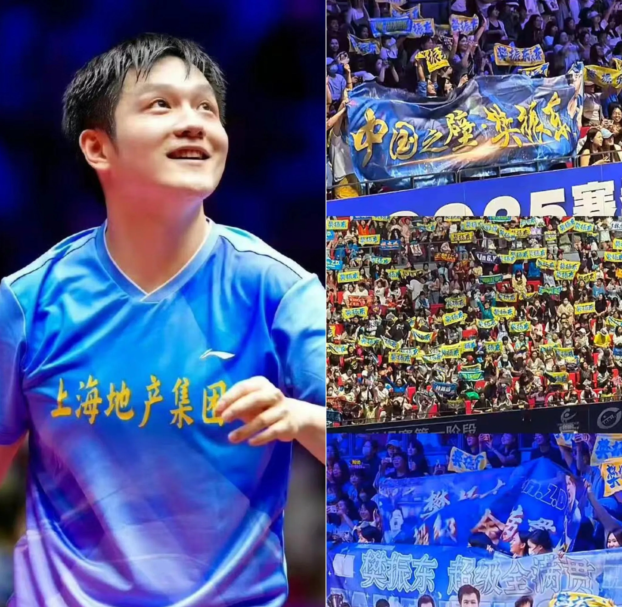 日本乒乓球队绝杀德国乒乓球队,樊振东三分雨点燃全场的简单介绍 日本乒乓球队绝杀德国乒乓球队,樊振东三分雨点燃全场的简单介绍