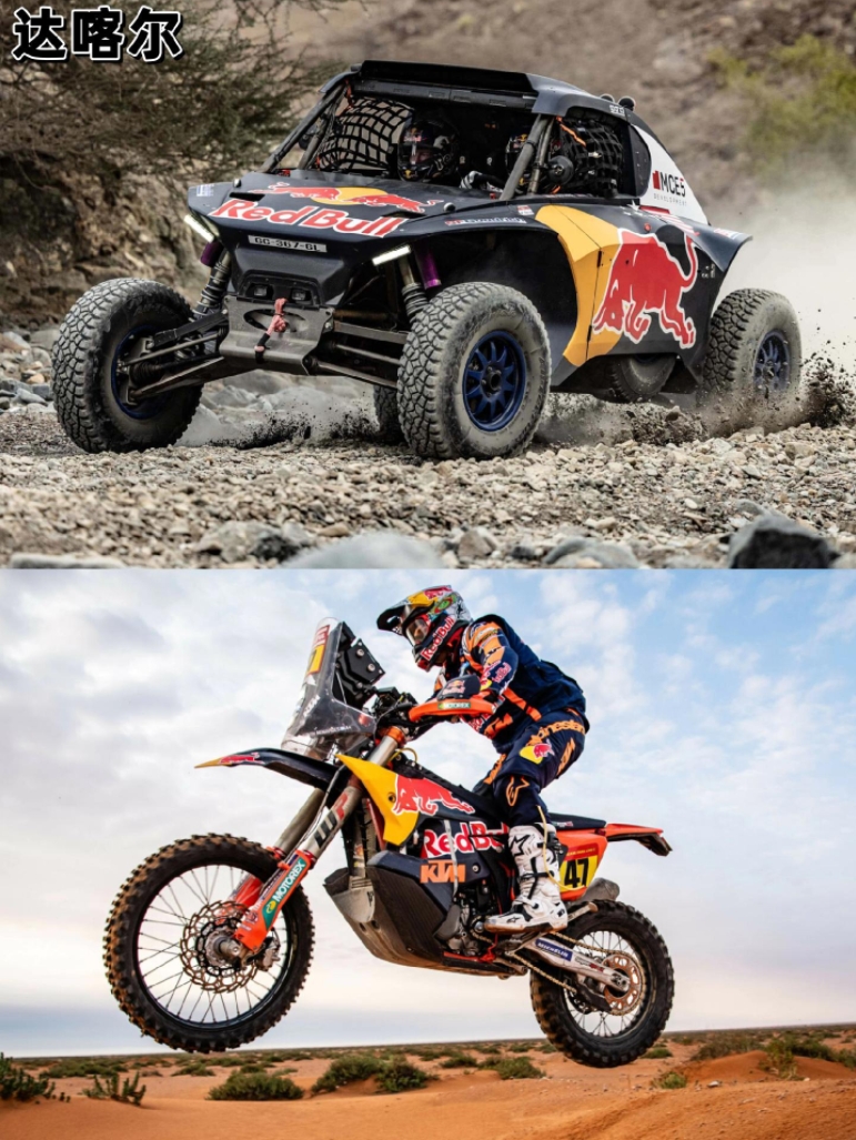 包含哈斯车队碾压红牛车队，诺里斯扛起全队的词条