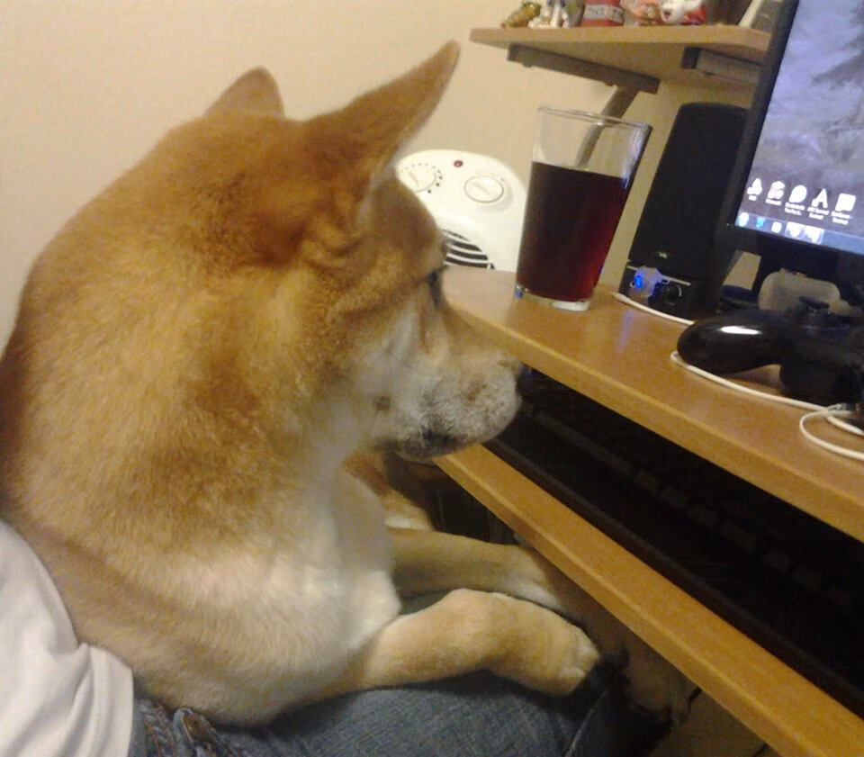 亚洲羽坛格局裂变,印尼团体掀翻韩国巨人,戴资颖用统治力书写新时代