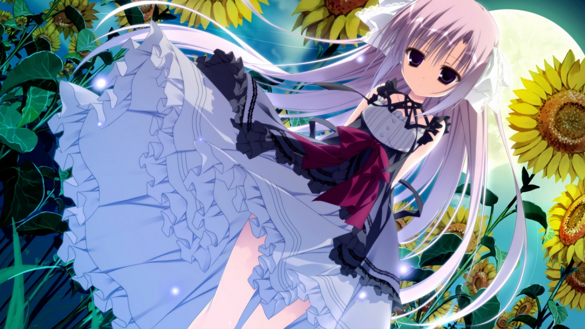 当巨人投下阴影，蒙特卡洛横扫戴维斯杯，梅德韦杰夫的关键制胜如何重新定义网球叙事