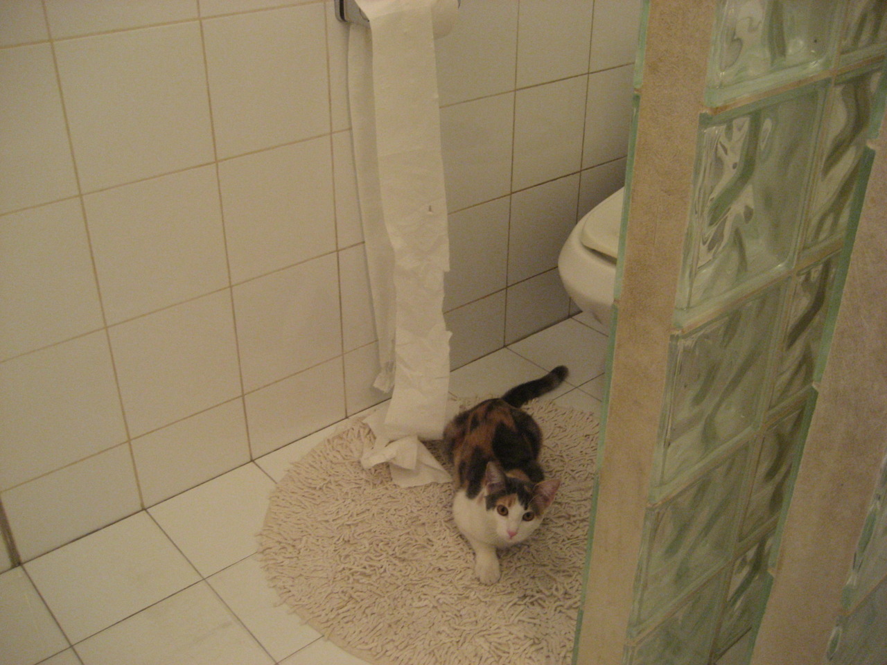 塔图姆空降CBA点燃狂潮，四川队绝境翻盘天津队创奇迹