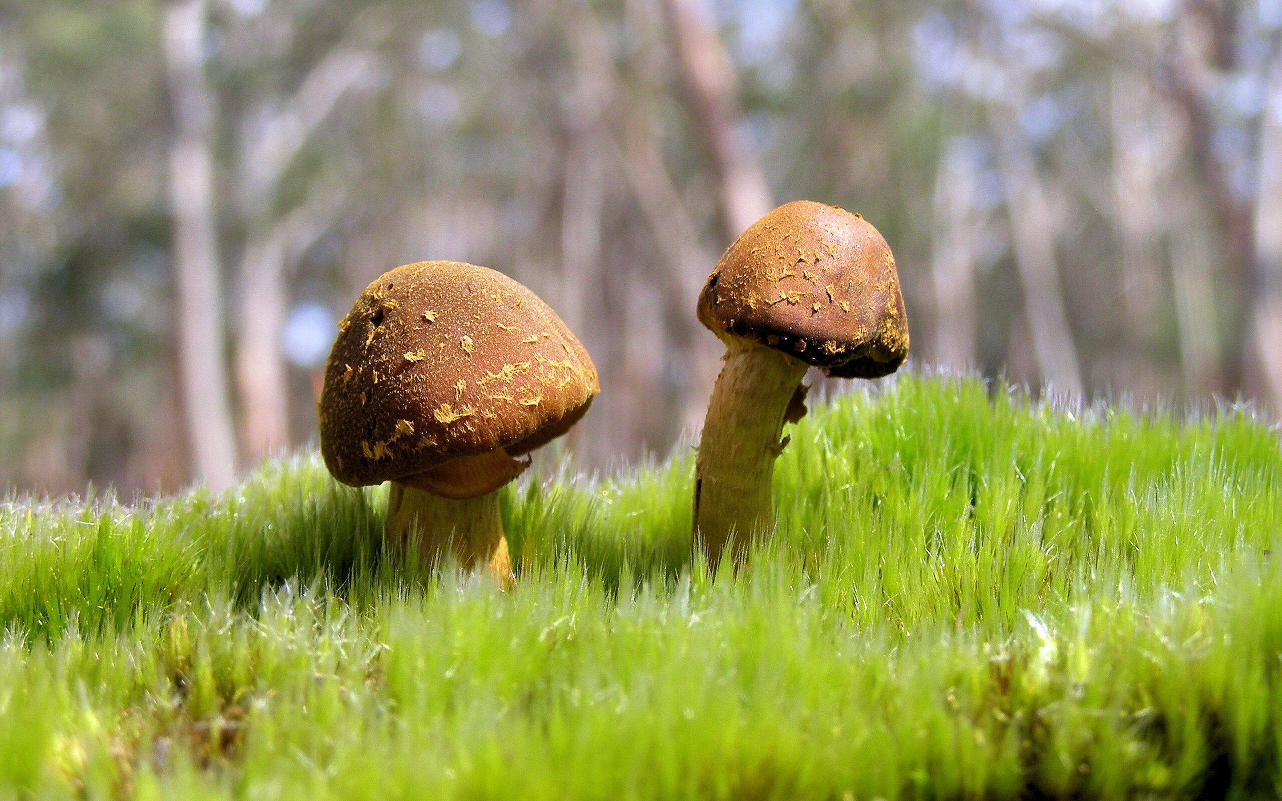 神隐与闪耀，国家德比之夜，哈弗茨数据全面爆炸