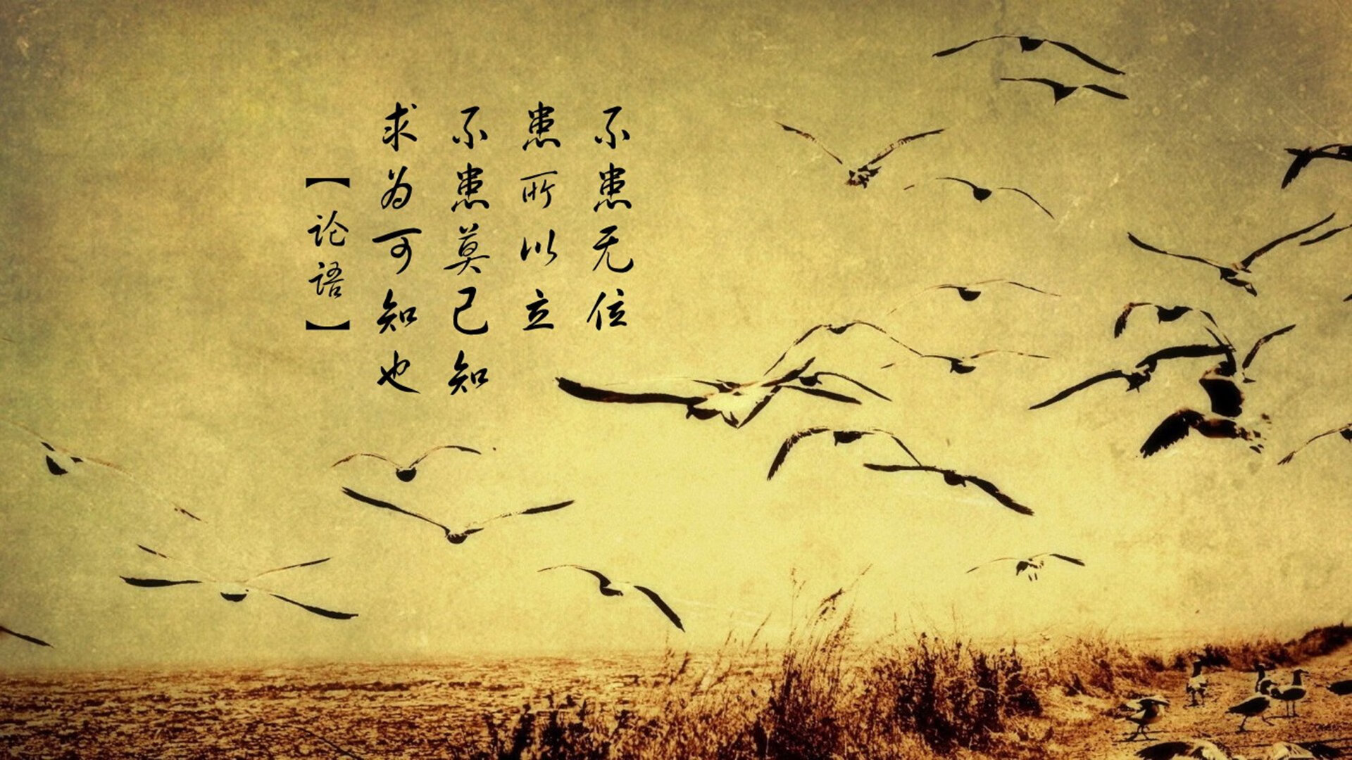 硬仗之王的启示，从莫兰特到热火，看浙江队为何被全面压制