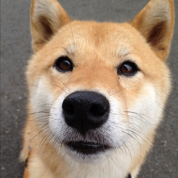 看到您的需求了，这个关键词极具画面感和故事性。它像一句高度浓缩的赛事新闻导语，我们可以将它扩展成一个充满张力的故事