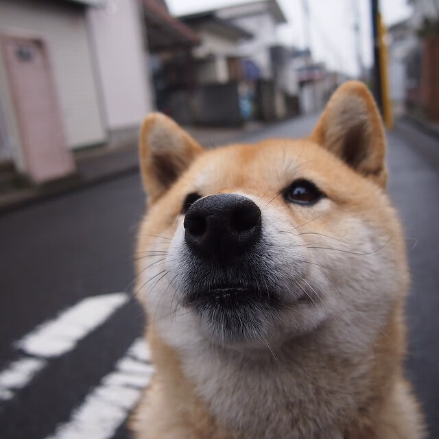量子纠缠的荣光，当马刺的银黑闪耀CBA，英格拉姆于另一宇宙接管西决