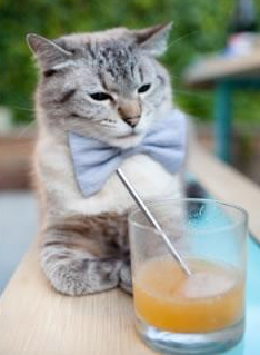 迟暮英雄与新王,湖人生死战取胜黄蜂,东契奇登基关键先生