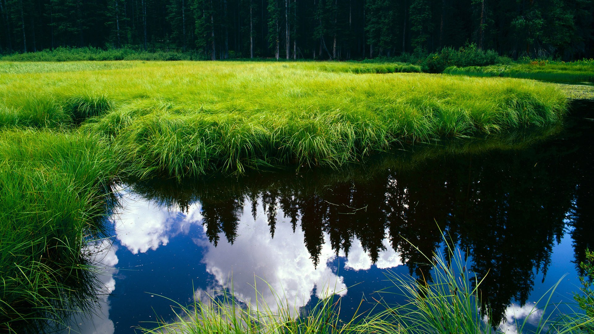 神的夜晚，凡人的黎明，伦纳德攻防统治下的另一种篮球真理