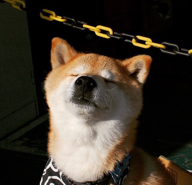 冰原狼之刺，英格拉姆以不破之局，令步行者伏首