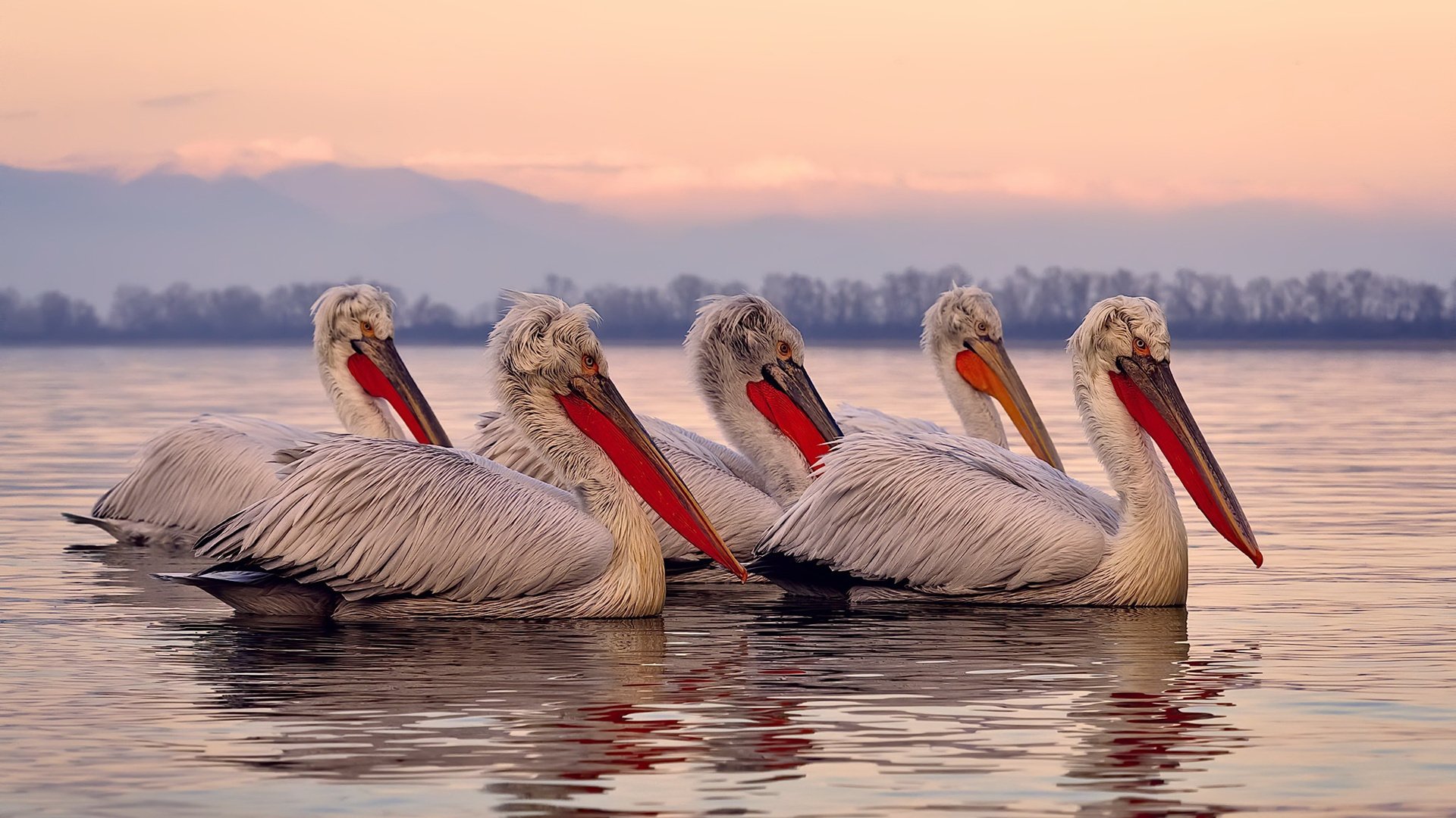 节奏掌控致胜,关键先生定局,洪都拉斯力克哥斯达黎加,斯通斯闪耀全场