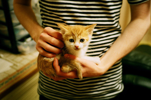 阿尔瓦雷斯，绿茵雕塑家，亲手雕琢墨西哥对阵里昂的胜利轨迹