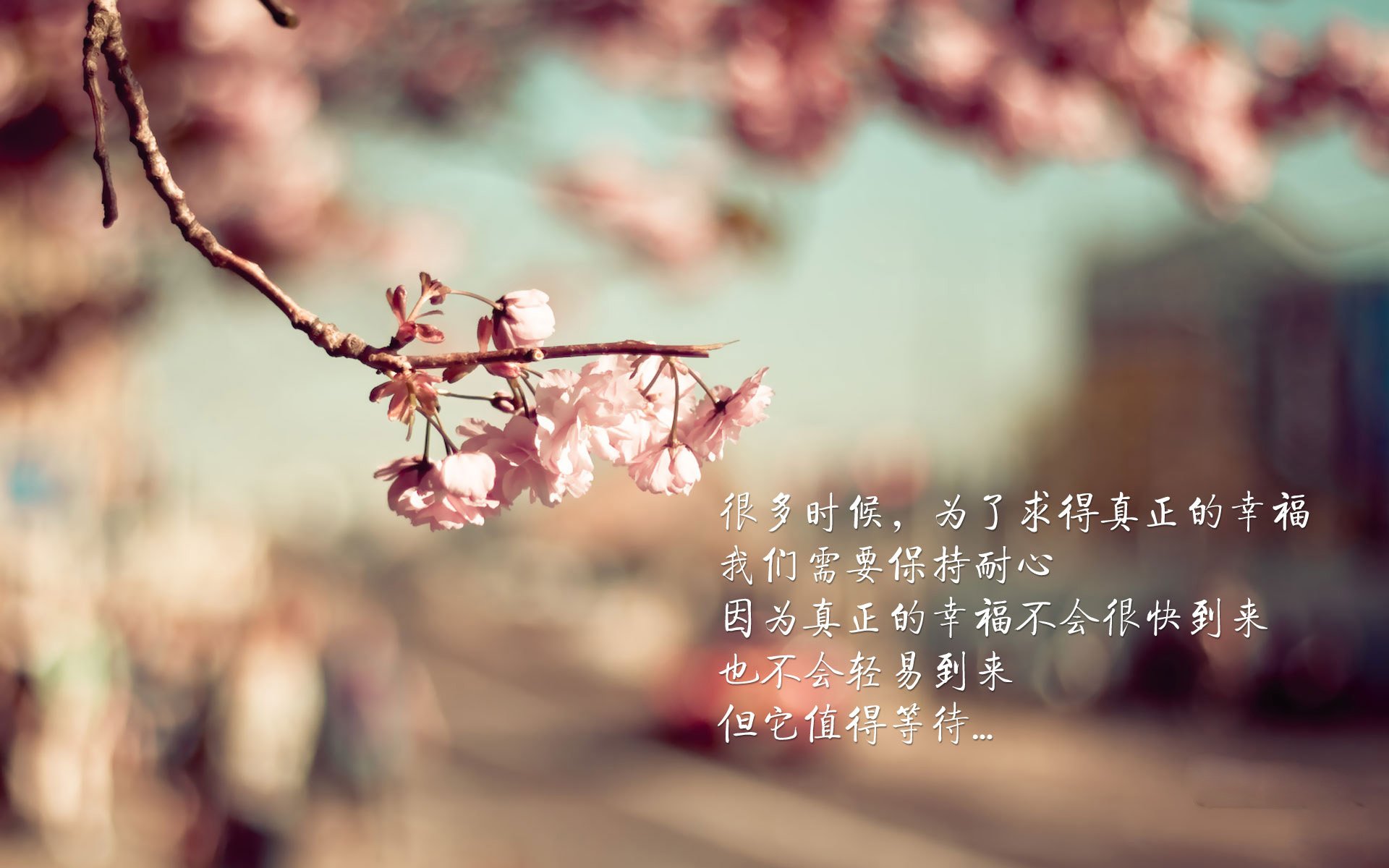 2026世界杯F组强强对话,德意志战车碾压冰岛,阿方索·戴维斯成最亮那颗星